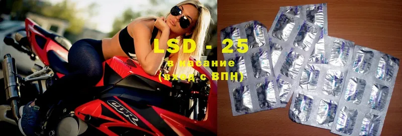 как найти   Курган  LSD-25 экстази ecstasy 